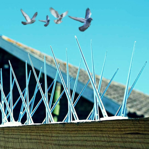 Bird Spikes