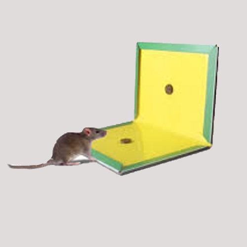 Thermal Glue Pad Fogger